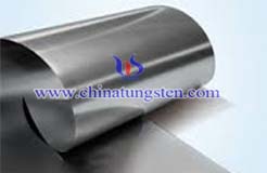 Tungsten Alloy Shielding Picture