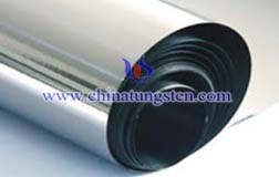 Tungsten Alloy Shielding Picture